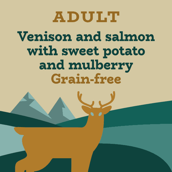 High protein venison, salmon and sweet potato grain-free dry dog food