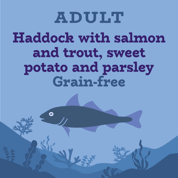 Grain free haddock, sweet potato and parsley for dogs