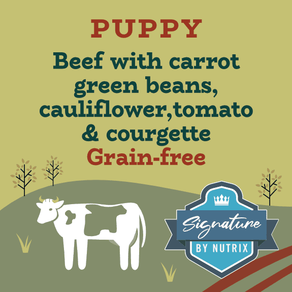Angus Beef Puppy Food – Grain Free & Hypoallergenic | Nutrix