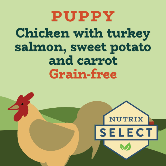 View of Grain Free Hypoallergenic Puppy Food with Joint Support