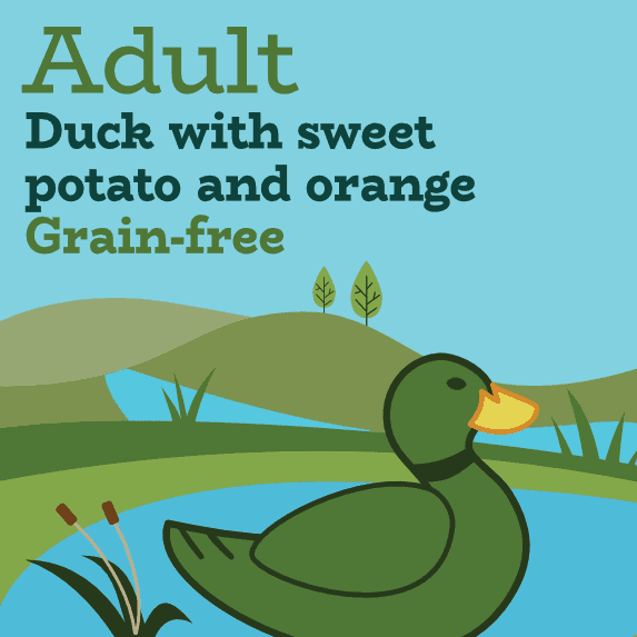 Are Dogs Allergic To Potatoes