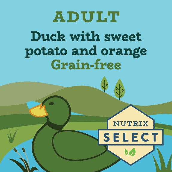 Curated visual reference: Visual Reference: Grain Free Duck And Sweet Potato Dry Dog Food For