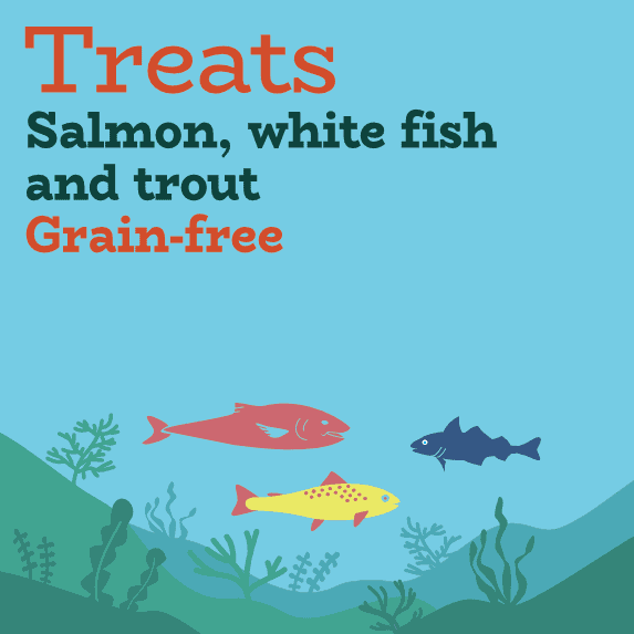 Is White Fish Good For Dogs