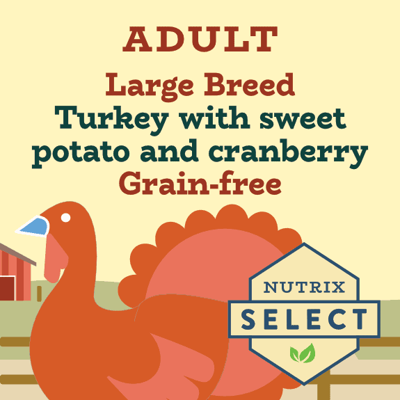 Grain Free Turkey And Egg Dog Food For Sensitive Mast Reference: Large Breed Turkey Dog Food For Sensitive Digestion