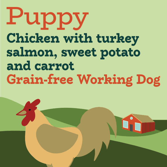 Is Turkey The Same As Chicken For Dogs