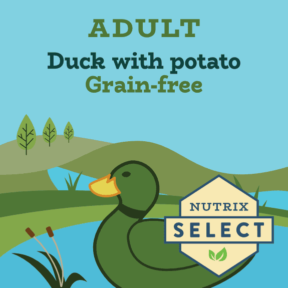 Beef Grain Free Dog Food For Weight Loss Reference: Chicken Free Dog Food