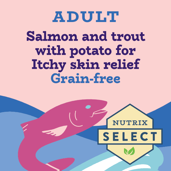 Salmon & Potato Trout Dog Food for Itchy Skin | Grain Free | Nutrix