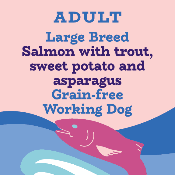 Salmon and trout grain free large breed dog food  for working dogs