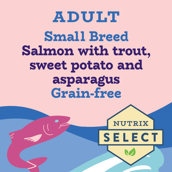 Small breed grain free salmon and sweet potato fish dog food